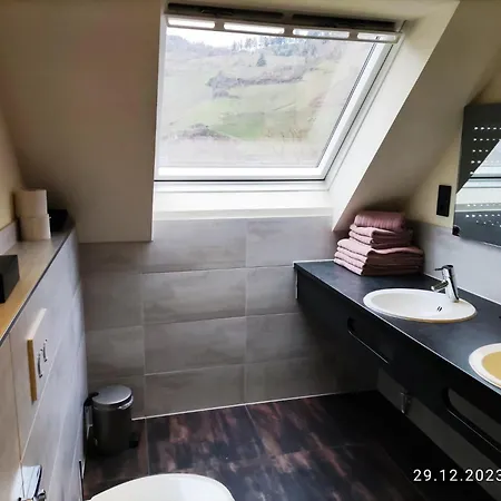 בית הארחה Moselperle Restaurant 3*