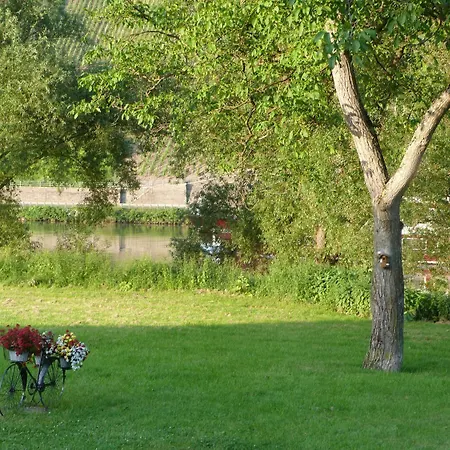 招待所 Moselperle Restaurant 特拉本特拉巴赫