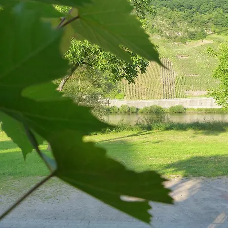 Moselperle Restaurant בית הארחה 3*