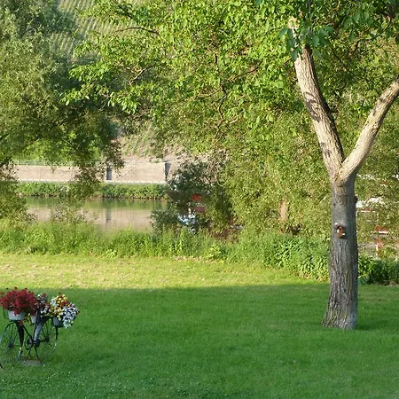 Moselperle Restaurant 3* 特拉本特拉巴赫